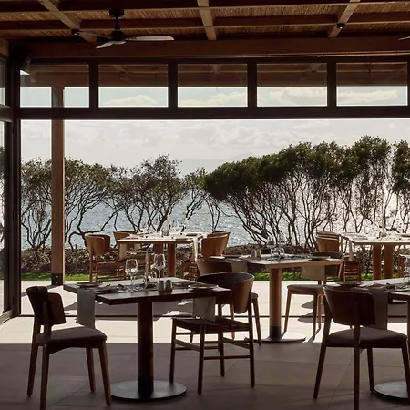 Zelia Halkidiki, Part Of Destination By Hyatt - Adults Only
